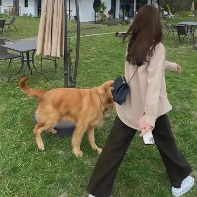 红杏出墙